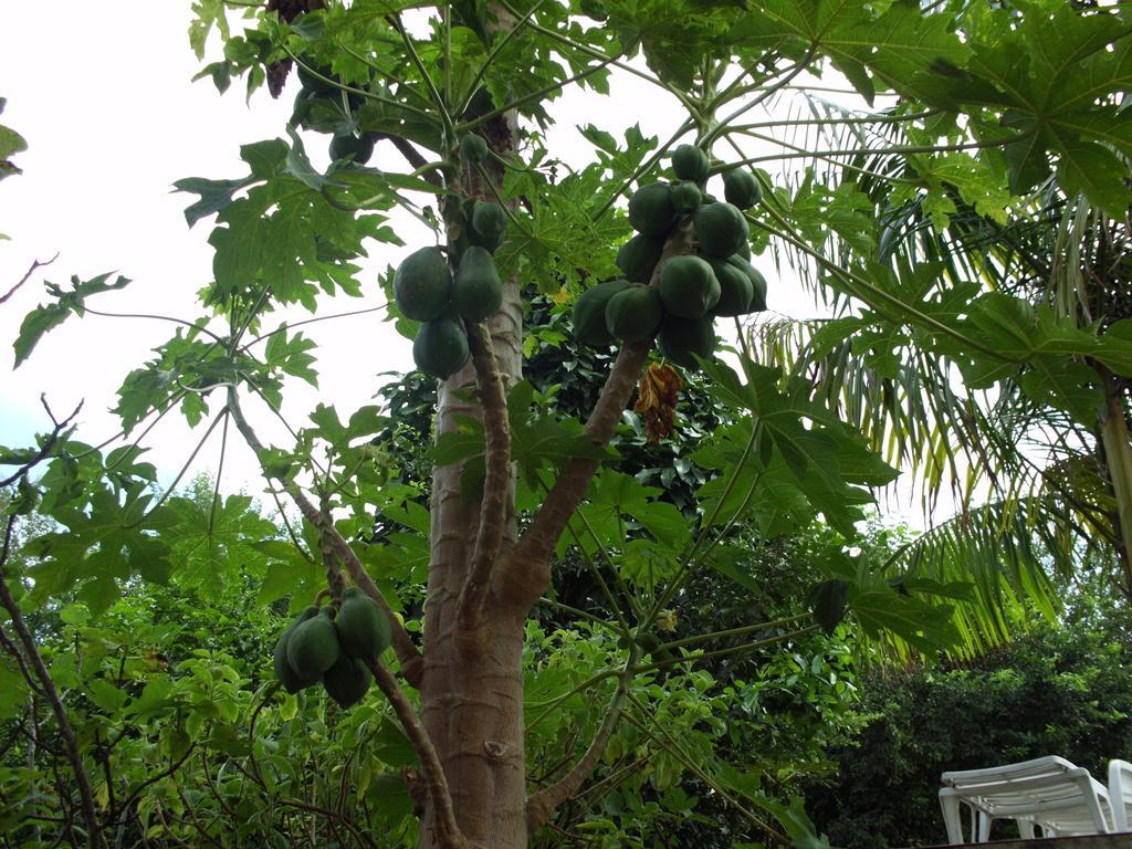 Pousada Pimenta Rosa ساكاريما المظهر الخارجي الصورة