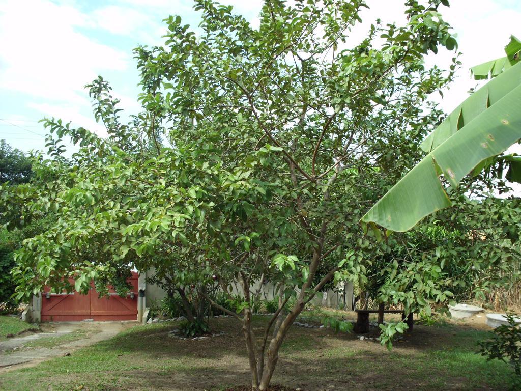 Pousada Pimenta Rosa ساكاريما المظهر الخارجي الصورة